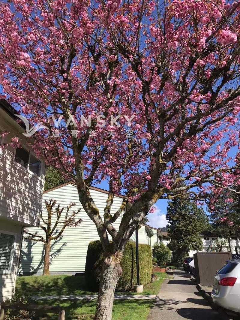 250507222808_Pix 2.jpg